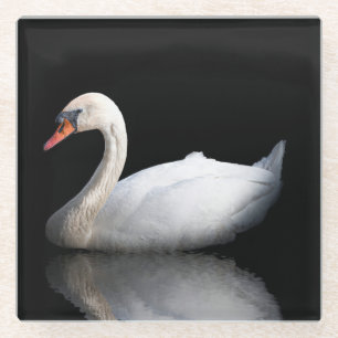 White swan on black glass coaster