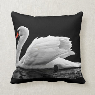 White Swan on Lake Cushion
