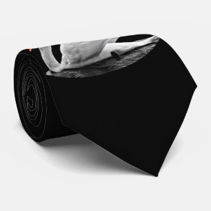 White Swan on Lake Tie