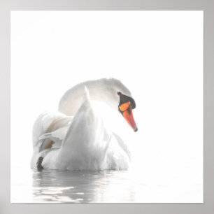 White Swan on Misty Water – Minimalist Wildlife Ph Poster