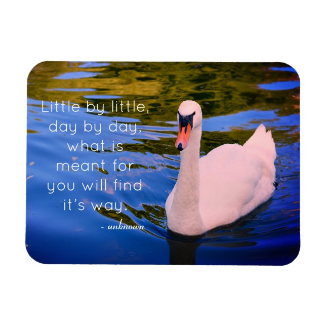 White Swan Photo with Motivational Quote Magnet (Horizontal)