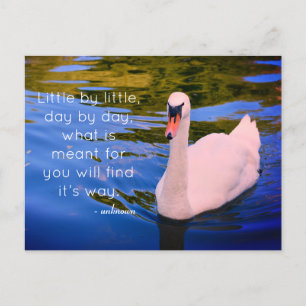 White Swan Photo with Motivational Quote Postcard