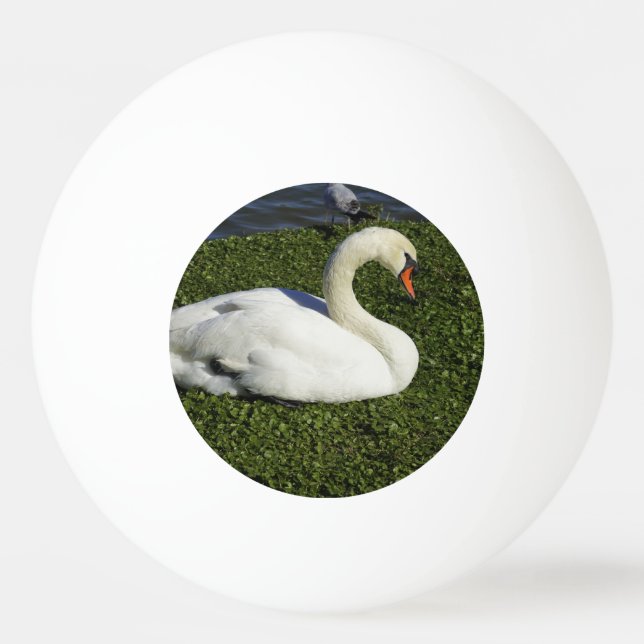 White Swan Ping Pong Ball (Front)