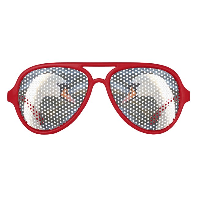 White Swan Retro Party Shades,Red Aviator Sunglasses (Front)