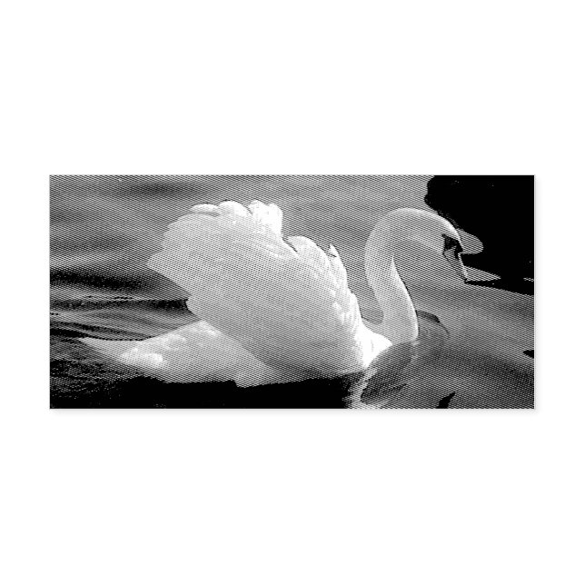 White Swan Stamp (Imprint)