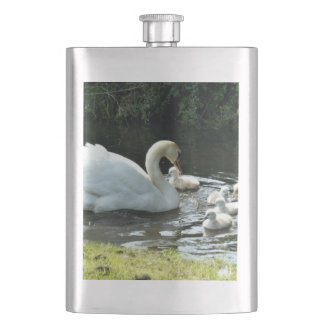 White Swan with Chicks Hip Flask