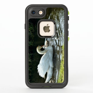 White Swan with Chicks