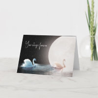 White Swans and Moon Anniversary