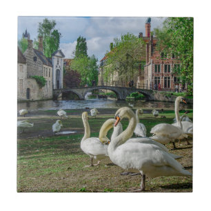 White swans in Bruges downtown Ceramic Tile