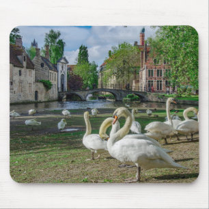 White swans in Bruges downtown Mouse Pad