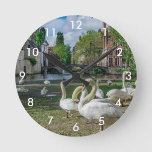 White swans in Bruges downtown Round Clock