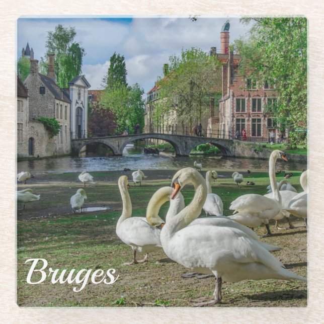 White swans in Bruges Glass Coaster (Front)