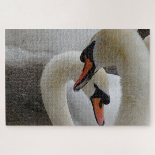 White Swans Jigsaw Puzzle
