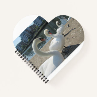 White Swans Spiral Notebook