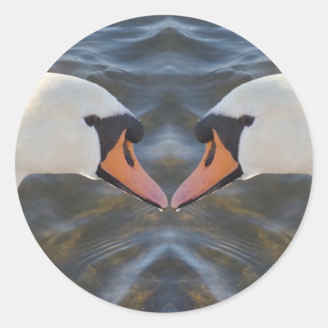 White Swans Sticker (Front)