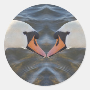 White Swans Sticker