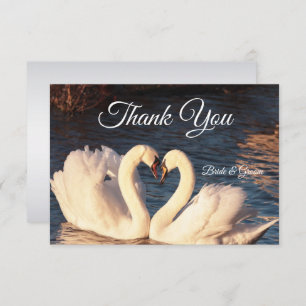 White Swans Thank You Card