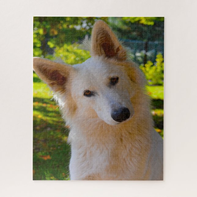 White Swiss Shepherd Dog Jigsaws. Jigsaw Puzzle (Vertical)