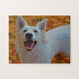 White Swiss Shepherd Dog Jigsaws. Jigsaw Puzzle