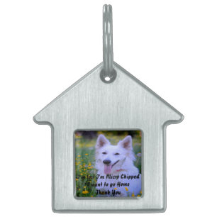 White Swiss Shepherd Dog. Pet ID Tag