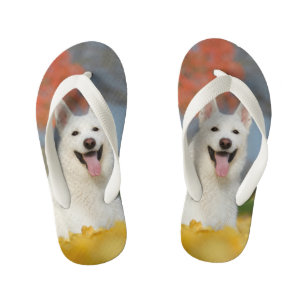 White Swiss Shepherd Dog Photo - Cute Furry Friend Kid's Thongs