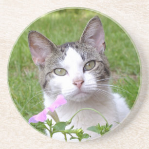White Tabby Cat and Pink Petunia Coaster