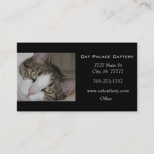 White Tabby Cat Business Card