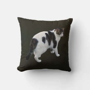White Tabby With Dark Patches Cushion