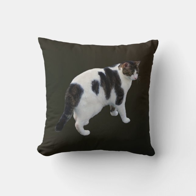 White Tabby With Dark Patches Cushion (Front)