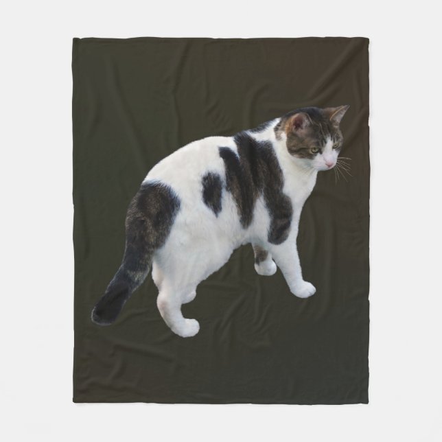 White Tabby With Dark Patches Fleece Blanket (Front)
