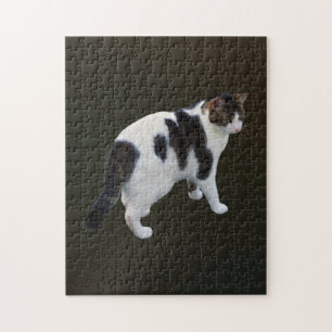 White Tabby With Dark Patches Jigsaw Puzzle