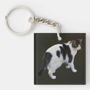 White Tabby With Dark Patches Key Ring