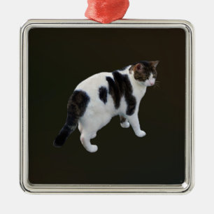 White Tabby With Dark Patches Metal Ornament