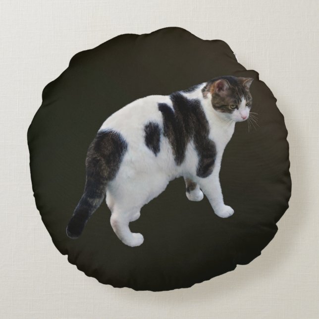 White Tabby With Dark Patches Round Cushion (Back)
