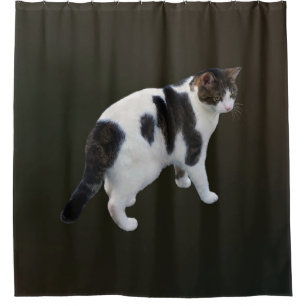 White Tabby With Dark Patches Shower Curtain