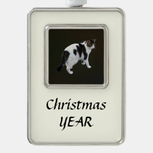 White Tabby With Dark Patches Silver Plated Framed Ornament