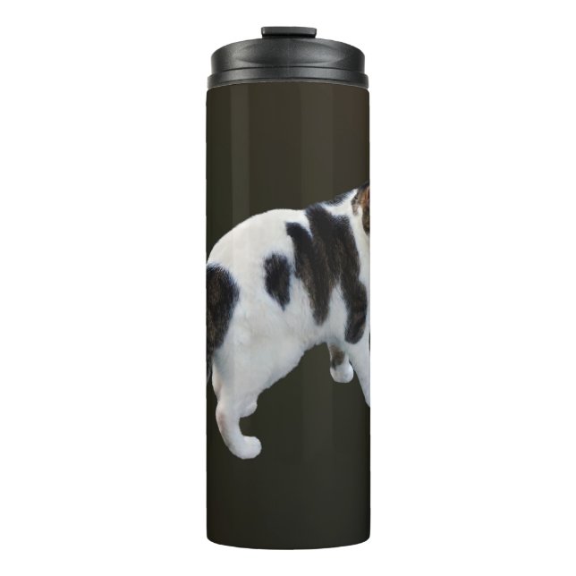 White Tabby With Dark Patches Thermal Tumbler (Front)