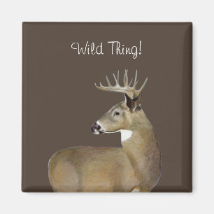 White Tail Buck Magnet