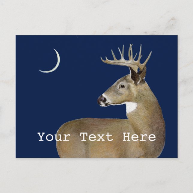 White Tail Buck Postcard (Front)