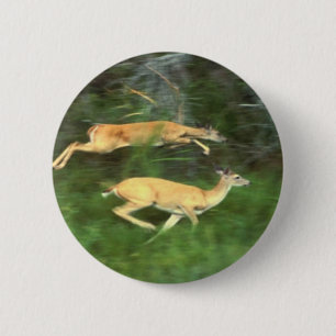 white tail deer 6 cm round badge