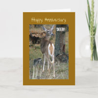 White-Tail Deer, Anniversary
