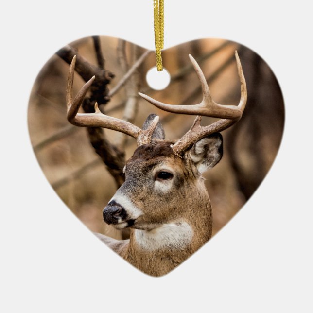 White Tail Deer Buck Ceramic Tree Decoration (Front)