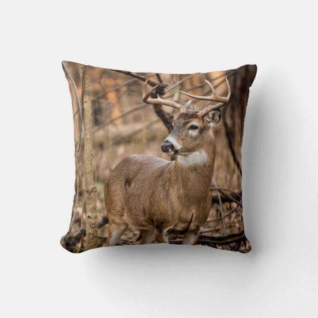 White Tail Deer Buck Cushion (Front)