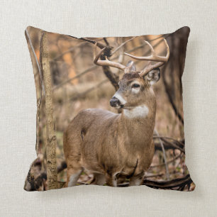 White Tail Deer Buck Cushion