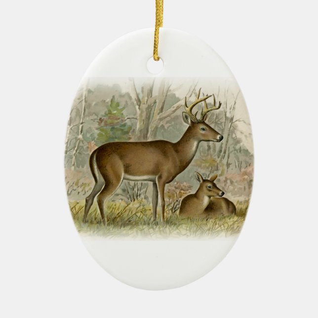 White Tail Deer Buck - Doe Ceramic Tree Decoration (Front)