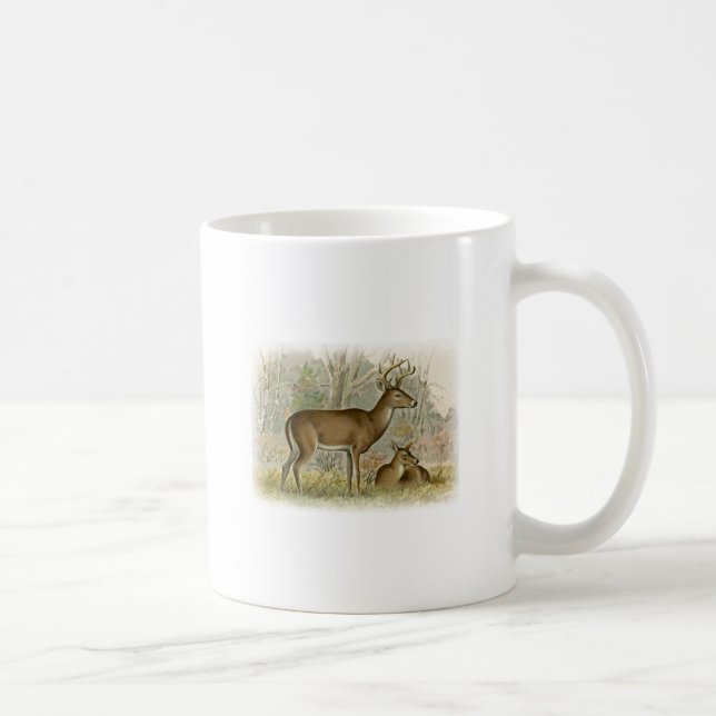 White Tail Deer Buck - Doe Coffee Mug (Right)