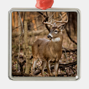 White Tail Deer Buck Metal Ornament