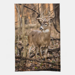 White Tail Deer Buck Tea Towel