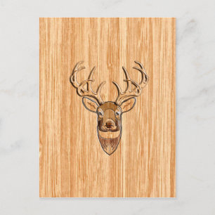 White Tail Deer Head Wood Grain Background Postcard