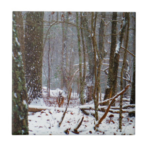 white tail deer in the snow ceramic tile